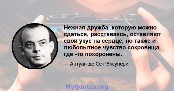 Нежная дружба, которую можно сдаться, расставаясь, оставляют свой укус на сердце, но также и любопытное чувство сокровища где -то похоронены.