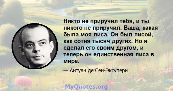 Никто не приручил тебя, и ты никого не приручил. Ваша, какая была моя лиса. Он был лисой, как сотня тысяч других. Но я сделал его своим другом, и теперь он единственная лиса в мире.