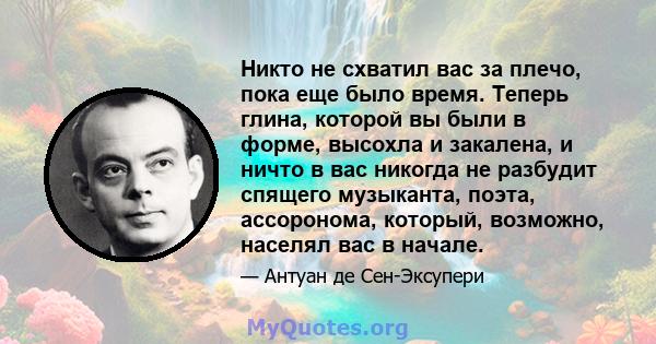 Никто не схватил вас за плечо, пока еще было время. Теперь глина, которой вы были в форме, высохла и закалена, и ничто в вас никогда не разбудит спящего музыканта, поэта, ассоронома, который, возможно, населял вас в