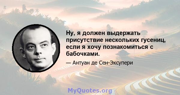 Ну, я должен выдержать присутствие нескольких гусениц, если я хочу познакомиться с бабочками.