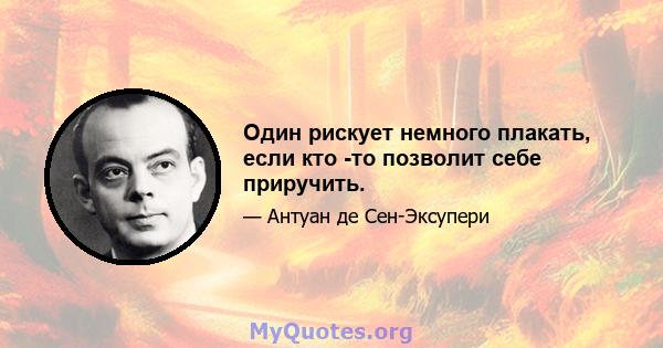 Один рискует немного плакать, если кто -то позволит себе приручить.