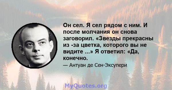 Он сел. Я сел рядом с ним. И после молчания он снова заговорил. «Звезды прекрасны из -за цветка, которого вы не видите ...» Я ответил: «Да, конечно.