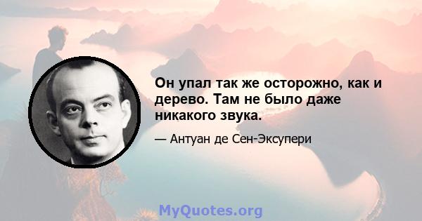 Он упал так же осторожно, как и дерево. Там не было даже никакого звука.