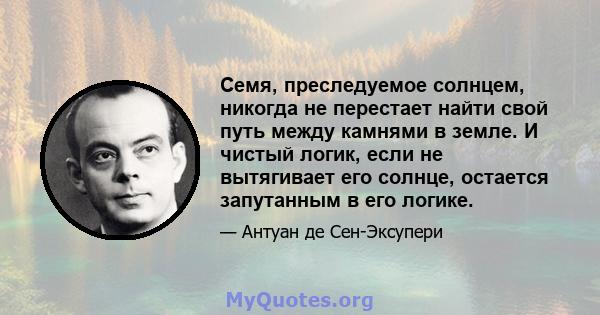 Семя, преследуемое солнцем, никогда не перестает найти свой путь между камнями в земле. И чистый логик, если не вытягивает его солнце, остается запутанным в его логике.