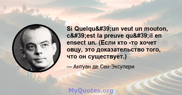 Si Quelqu'un veut un mouton, c'est la preuve qu'il en ensect un. (Если кто -то хочет овцу, это доказательство того, что он существует.)