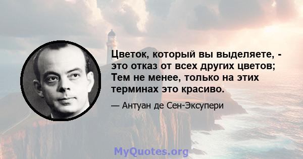 Цветок, который вы выделяете, - это отказ от всех других цветов; Тем не менее, только на этих терминах это красиво.