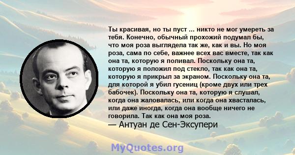 Ты красивая, но ты пуст ... никто не мог умереть за тебя. Конечно, обычный прохожий подумал бы, что моя роза выглядела так же, как и вы. Но моя роза, сама по себе, важнее всех вас вместе, так как она та, которую я