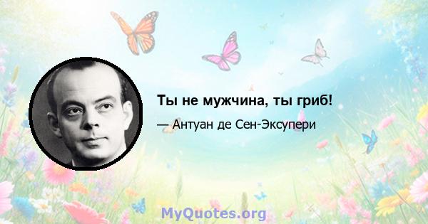 Ты не мужчина, ты гриб!