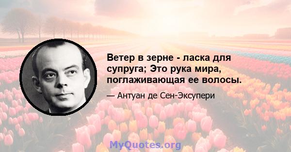 Ветер в зерне - ласка для супруга; Это рука мира, поглаживающая ее волосы.