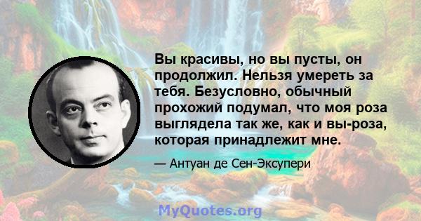 Вы красивы, но вы пусты, он продолжил. Нельзя умереть за тебя. Безусловно, обычный прохожий подумал, что моя роза выглядела так же, как и вы-роза, которая принадлежит мне.