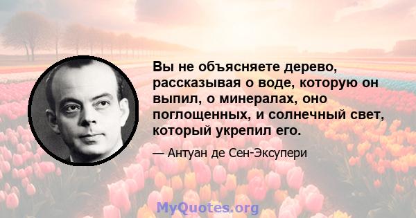 Вы не объясняете дерево, рассказывая о воде, которую он выпил, о минералах, оно поглощенных, и солнечный свет, который укрепил его.