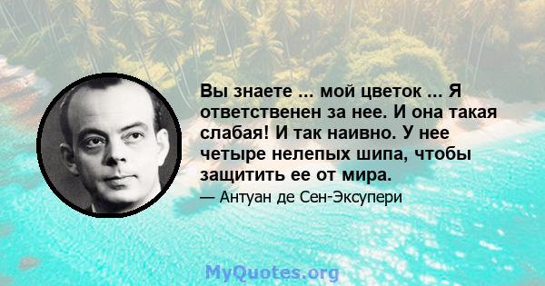 Вы знаете ... мой цветок ... Я ответственен за нее. И она такая слабая! И так наивно. У нее четыре нелепых шипа, чтобы защитить ее от мира.