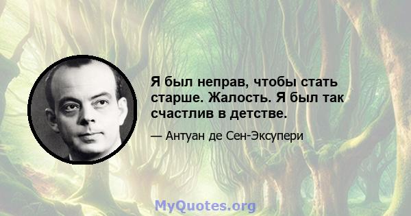 Я был неправ, чтобы стать старше. Жалость. Я был так счастлив в детстве.