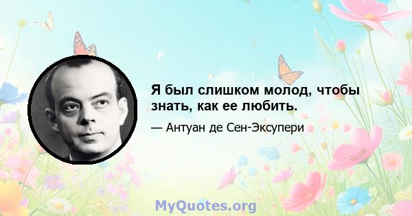 Я был слишком молод, чтобы знать, как ее любить.