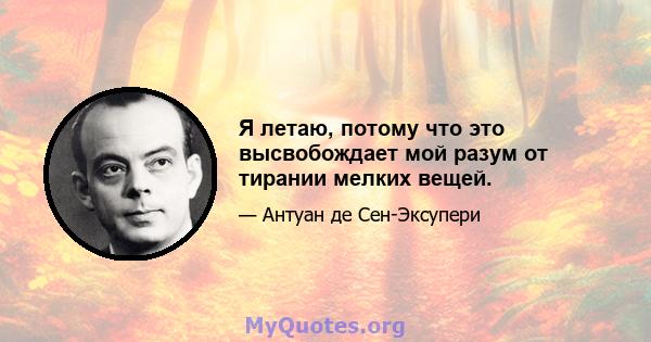 Я летаю, потому что это высвобождает мой разум от тирании мелких вещей.