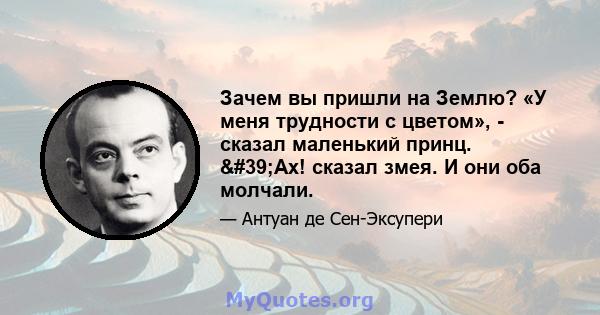 Зачем вы пришли на Землю? «У меня трудности с цветом», - сказал маленький принц. 'Ах! сказал змея. И они оба молчали.