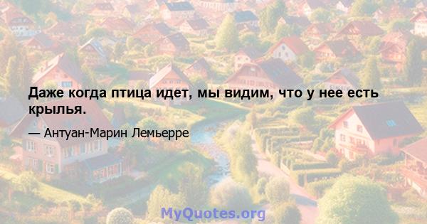 Даже когда птица идет, мы видим, что у нее есть крылья.