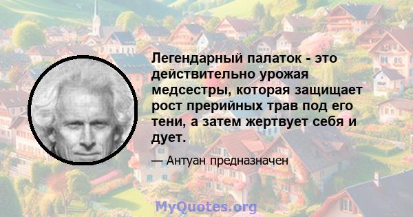 Легендарный палаток - это действительно урожая медсестры, которая защищает рост прерийных трав под его тени, а затем жертвует себя и дует.