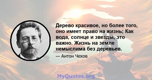 Дерево красивое, но более того, оно имеет право на жизнь; Как вода, солнце и звезды, это важно. Жизнь на земле немыслима без деревьев.