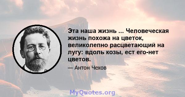 Эта наша жизнь ... Человеческая жизнь похожа на цветок, великолепно расцветающий на лугу: вдоль козы, ест его-нет цветов.