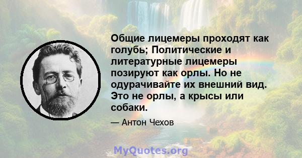 Общие лицемеры проходят как голубь; Политические и литературные лицемеры позируют как орлы. Но не одурачивайте их внешний вид. Это не орлы, а крысы или собаки.