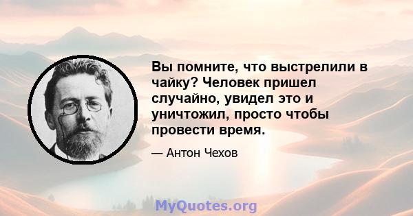 Вы помните, что выстрелили в чайку? Человек пришел случайно, увидел это и уничтожил, просто чтобы провести время.