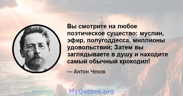 Вы смотрите на любое поэтическое существо: муслин, эфир, полугоддесса, миллионы удовольствий; Затем вы заглядываете в душу и находите самый обычный крокодил!