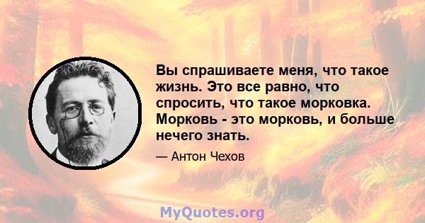 Вы спрашиваете меня, что такое жизнь. Это все равно, что спросить, что такое морковка. Морковь - это морковь, и больше нечего знать.