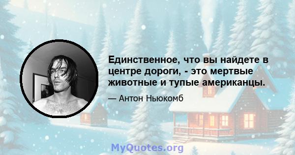 Единственное, что вы найдете в центре дороги, - это мертвые животные и тупые американцы.