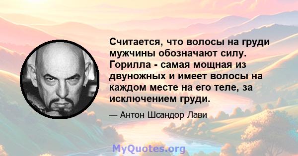 Считается, что волосы на груди мужчины обозначают силу. Горилла - самая мощная из двуножных и имеет волосы на каждом месте на его теле, за исключением груди.