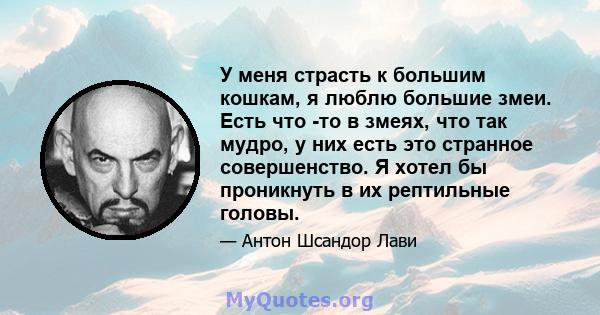 У меня страсть к большим кошкам, я люблю большие змеи. Есть что -то в змеях, что так мудро, у них есть это странное совершенство. Я хотел бы проникнуть в их рептильные головы.