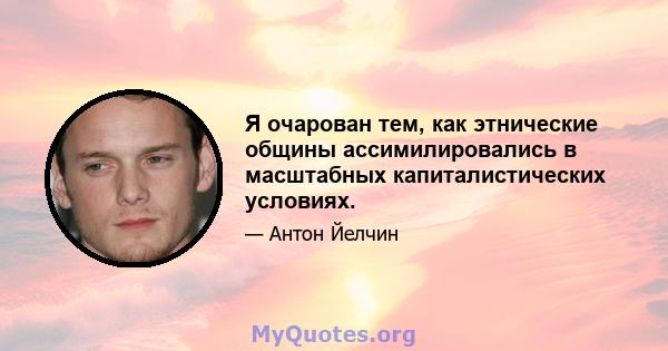 Я очарован тем, как этнические общины ассимилировались в масштабных капиталистических условиях.