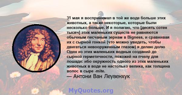 31 мая я воспринимал в той же воде больше этих животных, а также некоторые, которые были несколько больше. И я полагаю, что [десять сотен тысяч] этих маленьких существ не равняются обычным песчаным зернам в Bigness, и