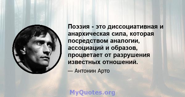 Поэзия - это диссоциативная и анархическая сила, которая посредством аналогии, ассоциаций и образов, процветает от разрушения известных отношений.