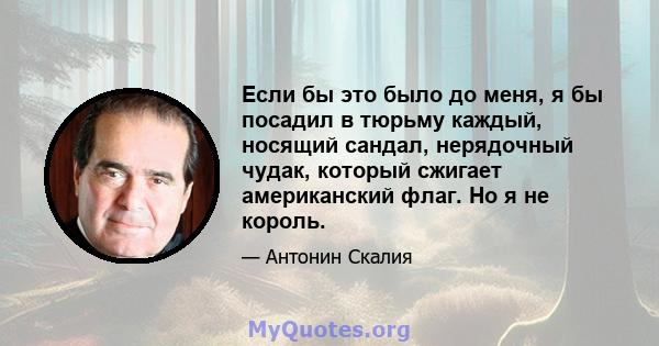 Если бы это было до меня, я бы посадил в тюрьму каждый, носящий сандал, нерядочный чудак, который сжигает американский флаг. Но я не король.