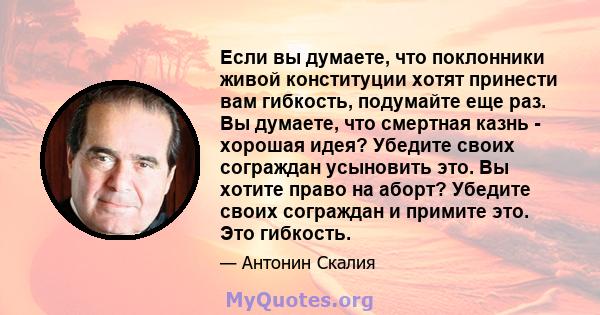 Если вы думаете, что поклонники живой конституции хотят принести вам гибкость, подумайте еще раз. Вы думаете, что смертная казнь - хорошая идея? Убедите своих сограждан усыновить это. Вы хотите право на аборт? Убедите