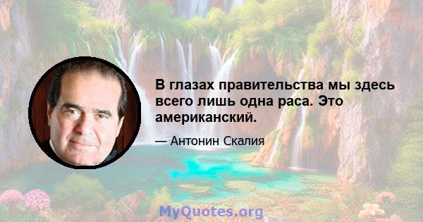 В глазах правительства мы здесь всего лишь одна раса. Это американский.