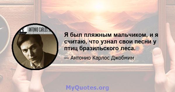 Я был пляжным мальчиком, и я считаю, что узнал свои песни у птиц бразильского леса.