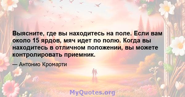 Выясните, где вы находитесь на поле. Если вам около 15 ярдов, мяч идет по полю. Когда вы находитесь в отличном положении, вы можете контролировать приемник.