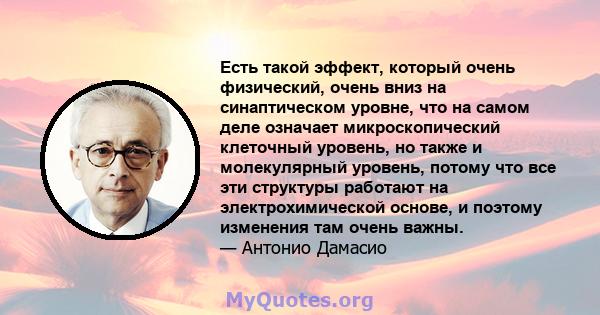 Есть такой эффект, который очень физический, очень вниз на синаптическом уровне, что на самом деле означает микроскопический клеточный уровень, но также и молекулярный уровень, потому что все эти структуры работают на