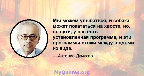 Мы можем улыбаться, и собака может покататься на хвосте, но, по сути, у нас есть установленная программа, и эти программы схожи между людьми из вида.