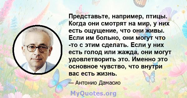 Представьте, например, птицы. Когда они смотрят на мир, у них есть ощущение, что они живы. Если им больно, они могут что -то с этим сделать. Если у них есть голод или жажда, они могут удовлетворить это. Именно это