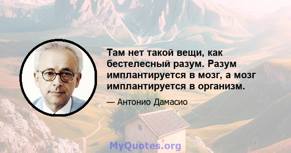 Там нет такой вещи, как бестелесный разум. Разум имплантируется в мозг, а мозг имплантируется в организм.