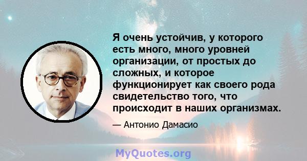 Я очень устойчив, у которого есть много, много уровней организации, от простых до сложных, и которое функционирует как своего рода свидетельство того, что происходит в наших организмах.