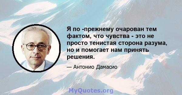 Я по -прежнему очарован тем фактом, что чувства - это не просто тенистая сторона разума, но и помогает нам принять решения.