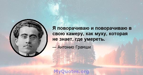 Я поворачиваю и поворачиваю в свою камеру, как муху, которая не знает, где умереть.