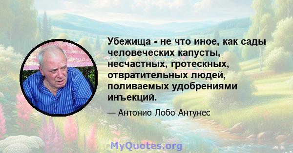 Убежища - не что иное, как сады человеческих капусты, несчастных, гротескных, отвратительных людей, поливаемых удобрениями инъекций.