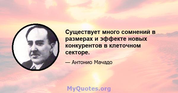 Существует много сомнений в размерах и эффекте новых конкурентов в клеточном секторе.