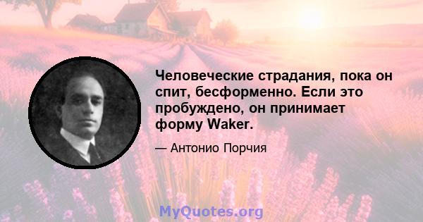 Человеческие страдания, пока он спит, бесформенно. Если это пробуждено, он принимает форму Waker.