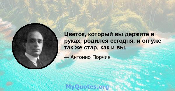 Цветок, который вы держите в руках, родился сегодня, и он уже так же стар, как и вы.